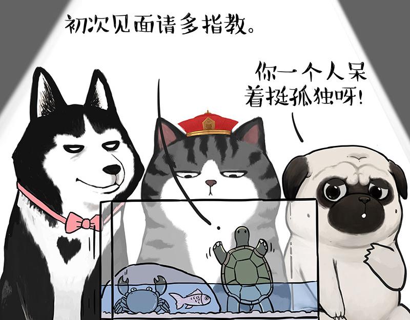 【吾皇巴扎黑】漫画-（第298话 龟与狗与世界）章节漫画下拉式图片-7.jpg