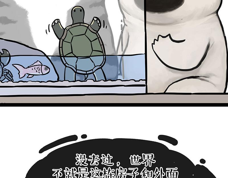 《吾皇巴扎黑》漫画最新章节第299话 真假虚实免费下拉式在线观看章节第【18】张图片