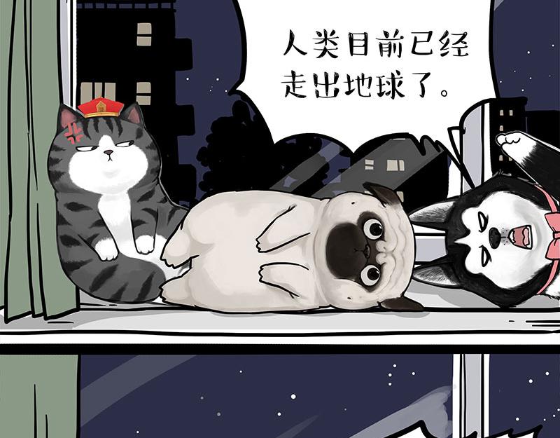 《吾皇巴扎黑》漫画最新章节第299话 真假虚实免费下拉式在线观看章节第【39】张图片