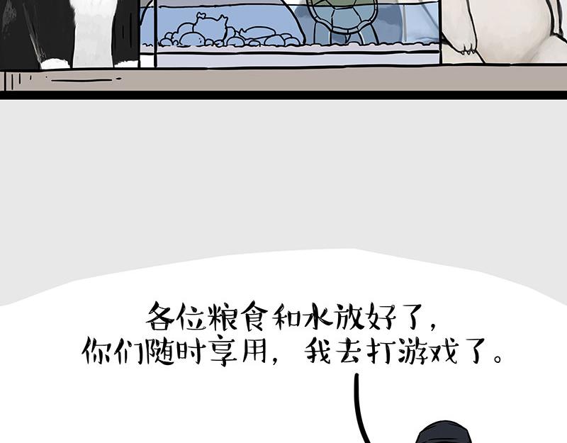 《吾皇巴扎黑》漫画最新章节第299话 真假虚实免费下拉式在线观看章节第【4】张图片