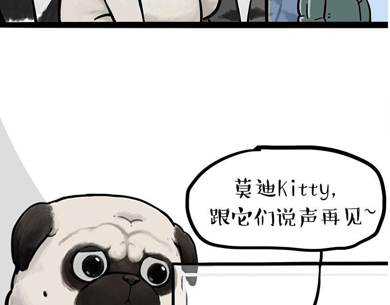 《吾皇巴扎黑》漫画最新章节第299话 真假虚实免费下拉式在线观看章节第【54】张图片