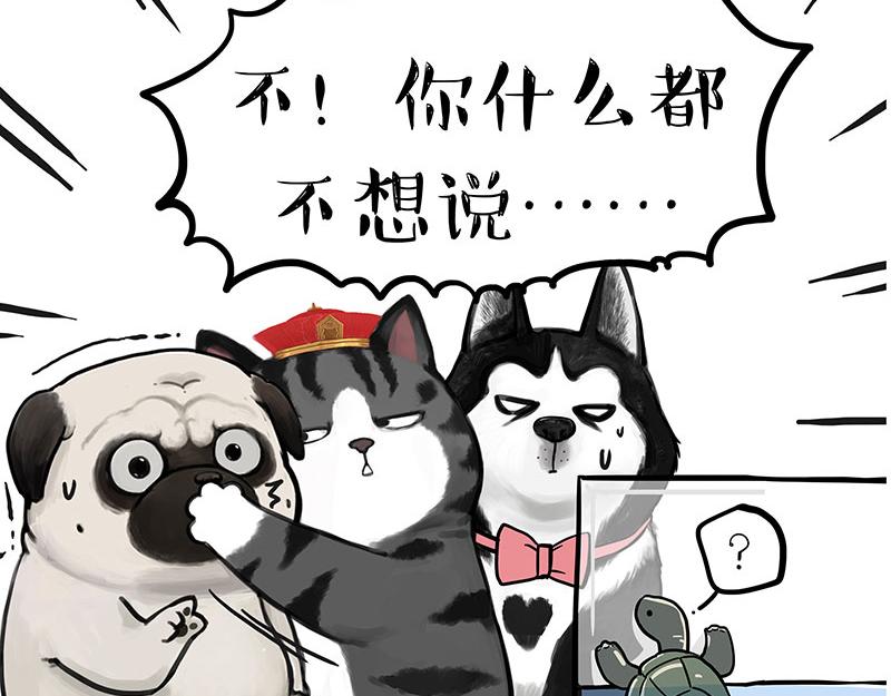 《吾皇巴扎黑》漫画最新章节第299话 真假虚实免费下拉式在线观看章节第【57】张图片