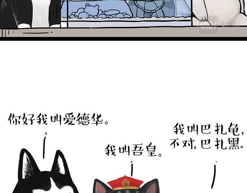 《吾皇巴扎黑》漫画最新章节第299话 真假虚实免费下拉式在线观看章节第【6】张图片