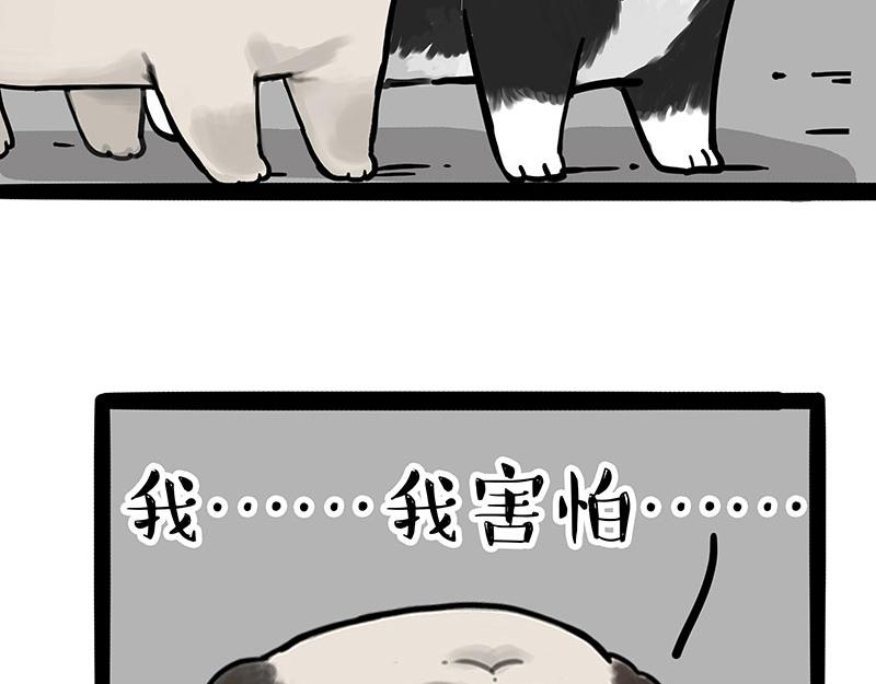 《吾皇巴扎黑》漫画最新章节第299话 真假虚实免费下拉式在线观看章节第【66】张图片