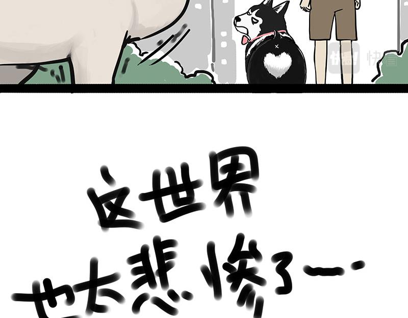 《吾皇巴扎黑》漫画最新章节第299话 真假虚实免费下拉式在线观看章节第【83】张图片