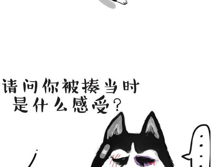 《吾皇巴扎黑》漫画最新章节第31话 来自喵星人的快感免费下拉式在线观看章节第【14】张图片