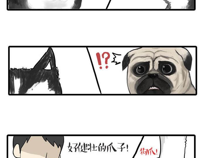 《吾皇巴扎黑》漫画最新章节第31话 来自喵星人的快感免费下拉式在线观看章节第【3】张图片