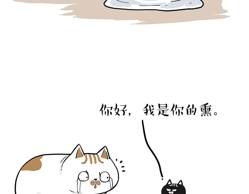 《吾皇巴扎黑》漫画最新章节第303话 你有“熏”吗？免费下拉式在线观看章节第【23】张图片