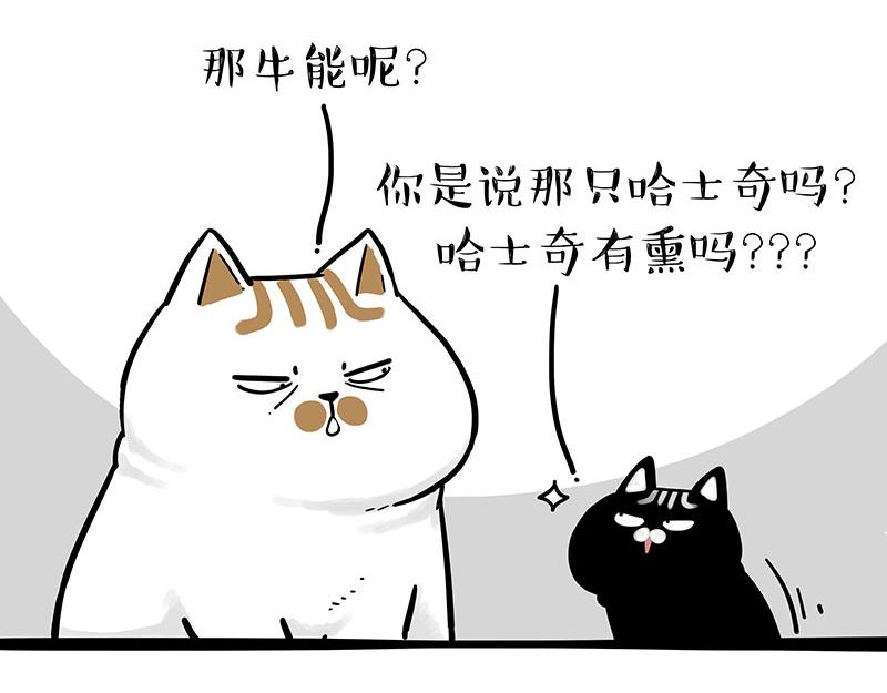 《吾皇巴扎黑》漫画最新章节第303话 你有“熏”吗？免费下拉式在线观看章节第【35】张图片