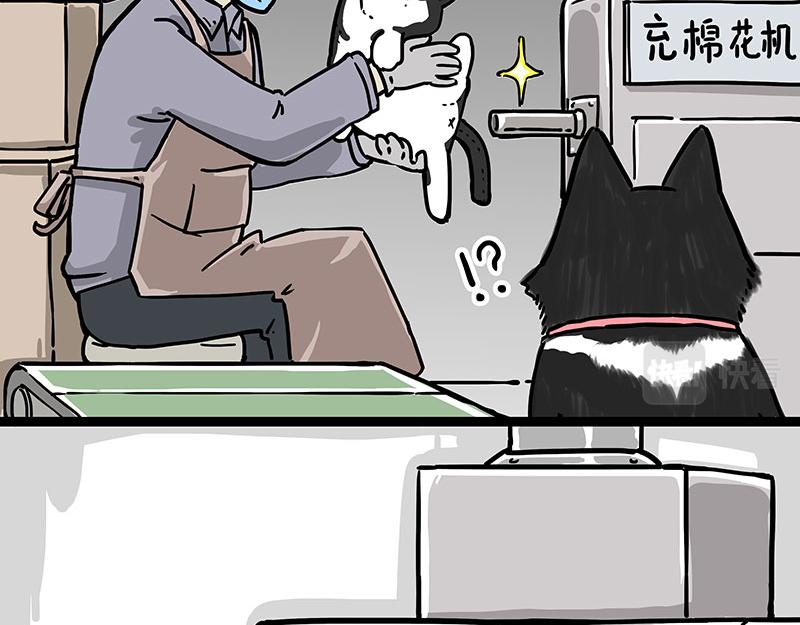 《吾皇巴扎黑》漫画最新章节第304话 你是真的狗免费下拉式在线观看章节第【10】张图片