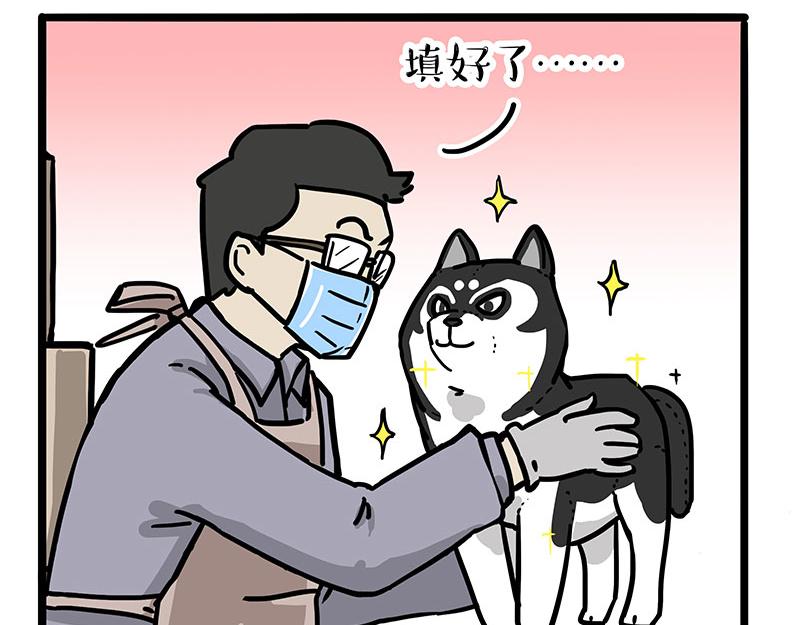 《吾皇巴扎黑》漫画最新章节第304话 你是真的狗免费下拉式在线观看章节第【14】张图片