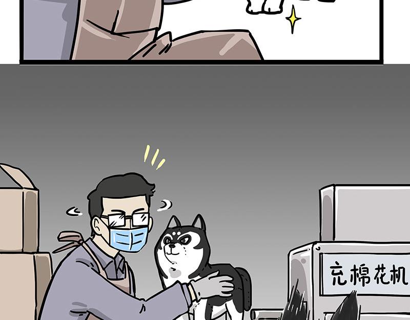 《吾皇巴扎黑》漫画最新章节第304话 你是真的狗免费下拉式在线观看章节第【15】张图片