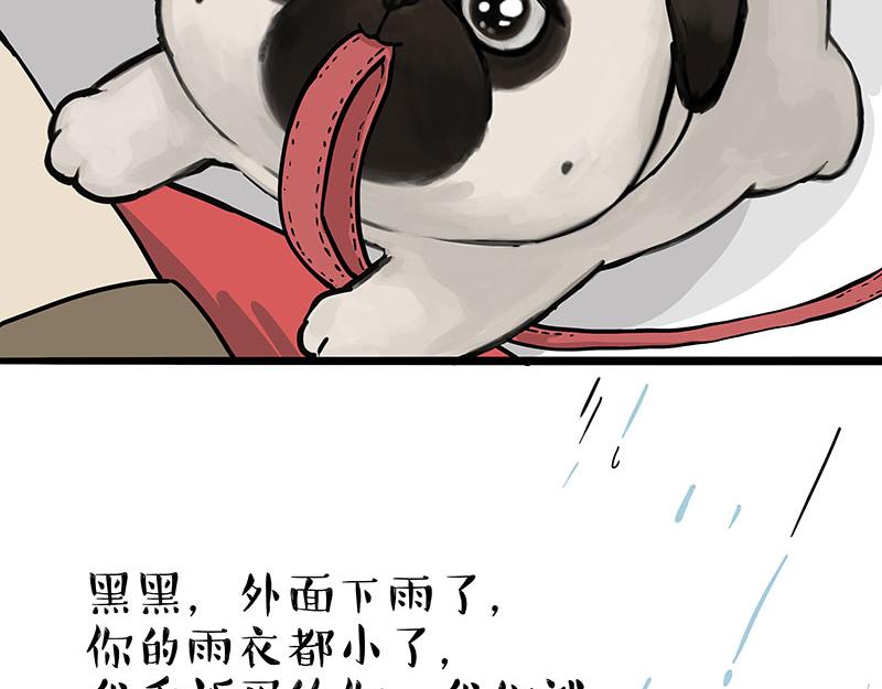 《吾皇巴扎黑》漫画最新章节第304话 你是真的狗免费下拉式在线观看章节第【24】张图片