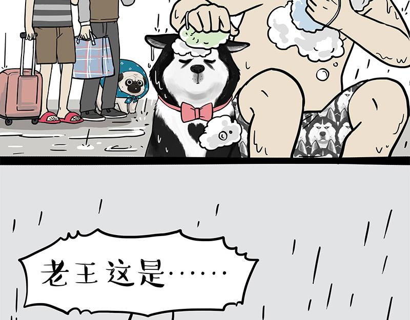 《吾皇巴扎黑》漫画最新章节第306话 不辛苦，命苦免费下拉式在线观看章节第【31】张图片