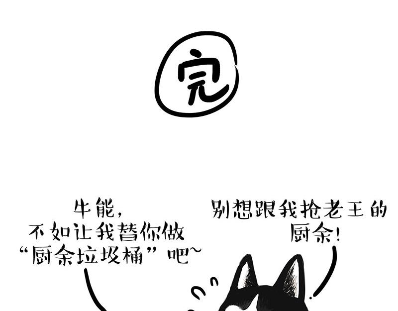 《吾皇巴扎黑》漫画最新章节第306话 不辛苦，命苦免费下拉式在线观看章节第【44】张图片