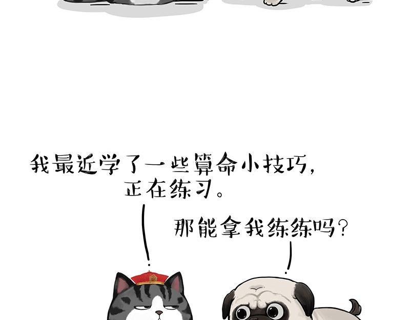 《吾皇巴扎黑》漫画最新章节第307话 面相大解析免费下拉式在线观看章节第【26】张图片