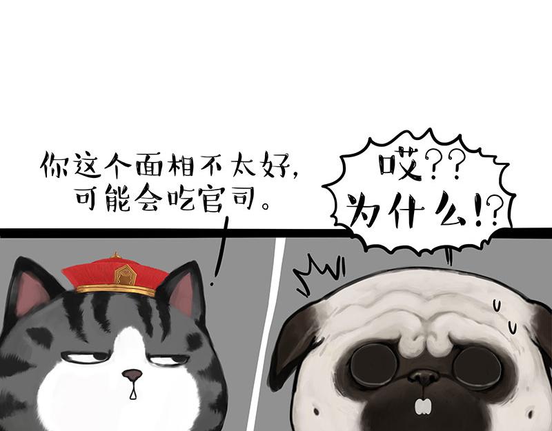 《吾皇巴扎黑》漫画最新章节第307话 面相大解析免费下拉式在线观看章节第【31】张图片