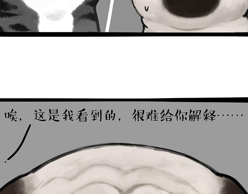 《吾皇巴扎黑》漫画最新章节第307话 面相大解析免费下拉式在线观看章节第【32】张图片