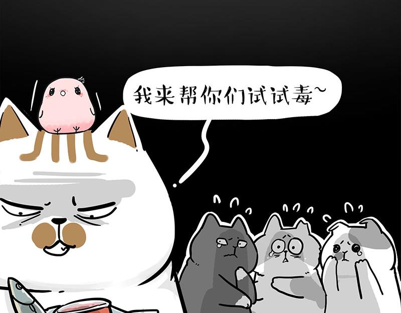 《吾皇巴扎黑》漫画最新章节第308话 恶霸最大！免费下拉式在线观看章节第【13】张图片