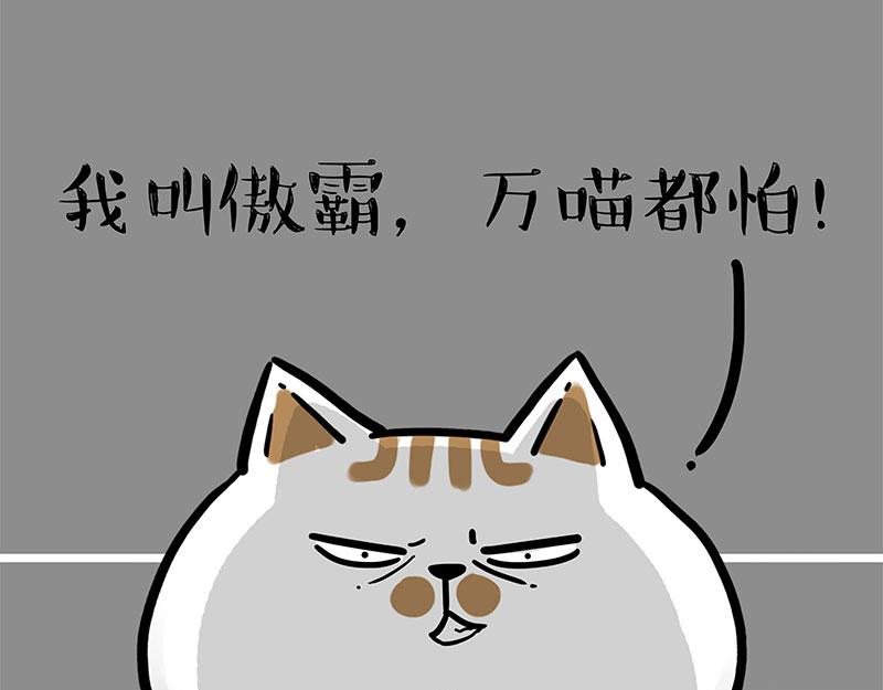 《吾皇巴扎黑》漫画最新章节第308话 恶霸最大！免费下拉式在线观看章节第【17】张图片