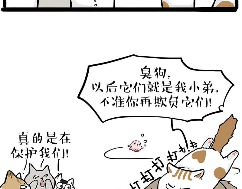 《吾皇巴扎黑》漫画最新章节第308话 恶霸最大！免费下拉式在线观看章节第【21】张图片