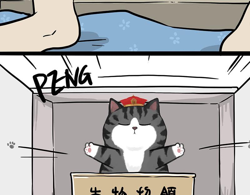 《吾皇巴扎黑》漫画最新章节第308话 恶霸最大！免费下拉式在线观看章节第【39】张图片