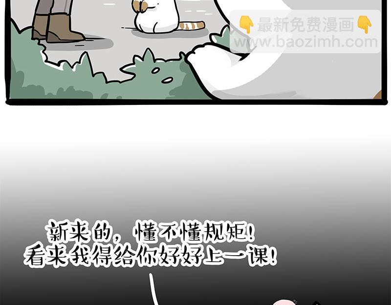 吾皇巴扎黑-第308话 恶霸最大！全彩韩漫标签