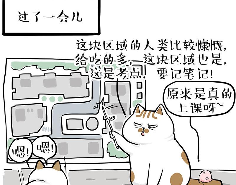 《吾皇巴扎黑》漫画最新章节第308话 恶霸最大！免费下拉式在线观看章节第【6】张图片