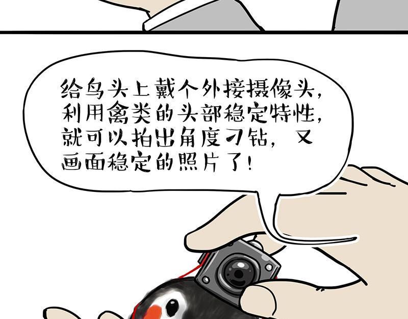 《吾皇巴扎黑》漫画最新章节第309话 不妙小喵招免费下拉式在线观看章节第【10】张图片