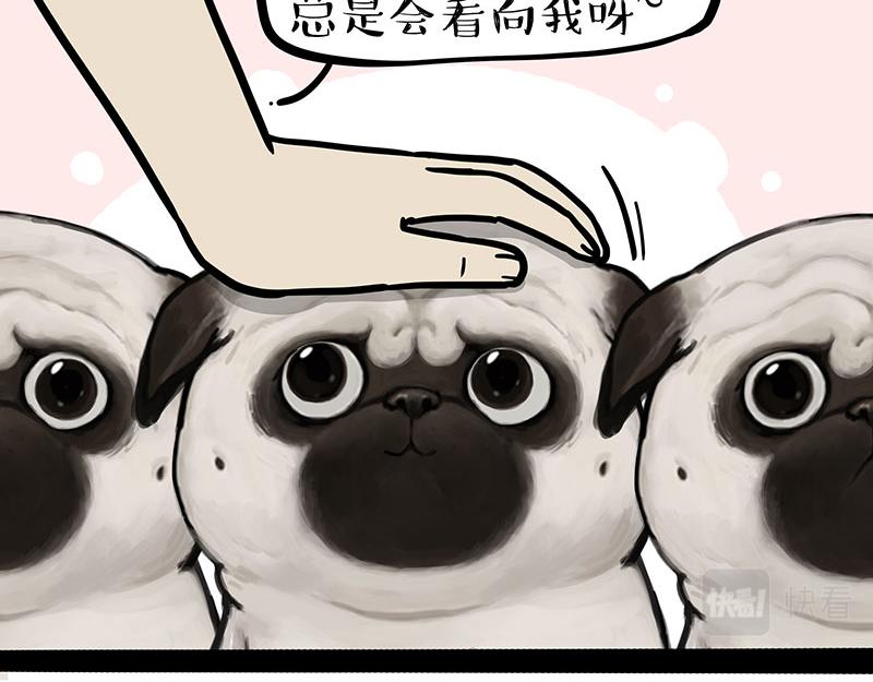 《吾皇巴扎黑》漫画最新章节第310话 黑里寻黑免费下拉式在线观看章节第【12】张图片