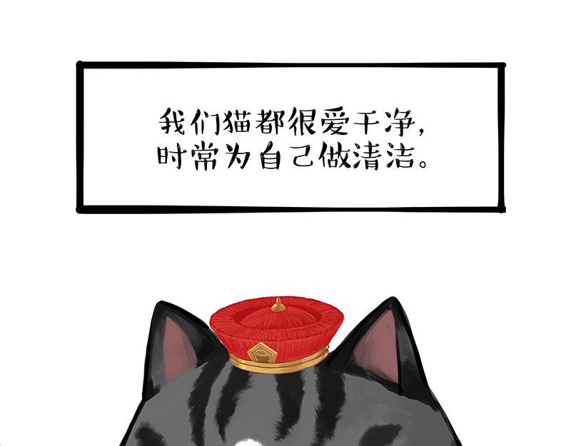 《吾皇巴扎黑》漫画最新章节第310话 黑里寻黑免费下拉式在线观看章节第【14】张图片