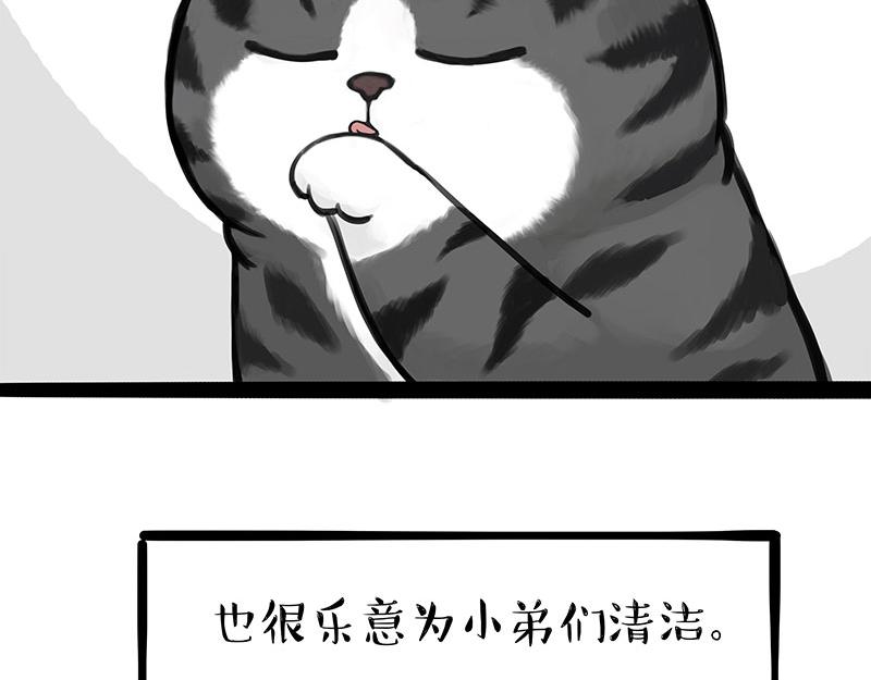 《吾皇巴扎黑》漫画最新章节第310话 黑里寻黑免费下拉式在线观看章节第【15】张图片