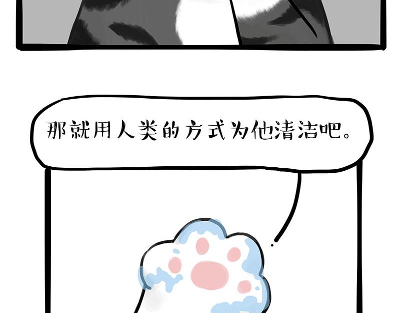 《吾皇巴扎黑》漫画最新章节第310话 黑里寻黑免费下拉式在线观看章节第【20】张图片