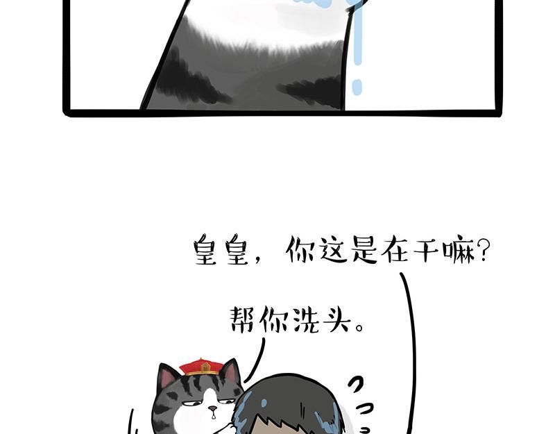 《吾皇巴扎黑》漫画最新章节第310话 黑里寻黑免费下拉式在线观看章节第【21】张图片