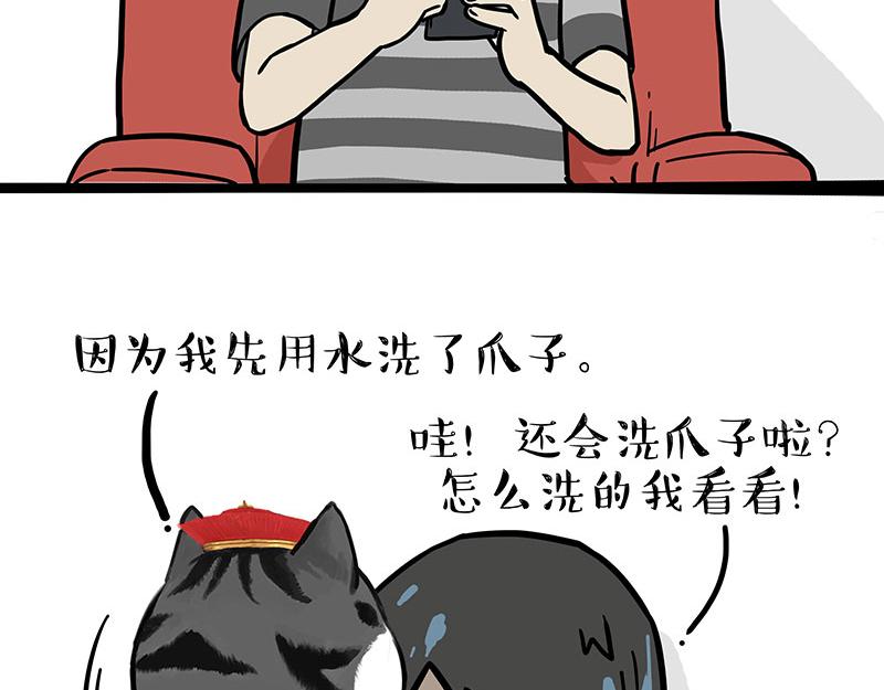 《吾皇巴扎黑》漫画最新章节第310话 黑里寻黑免费下拉式在线观看章节第【24】张图片