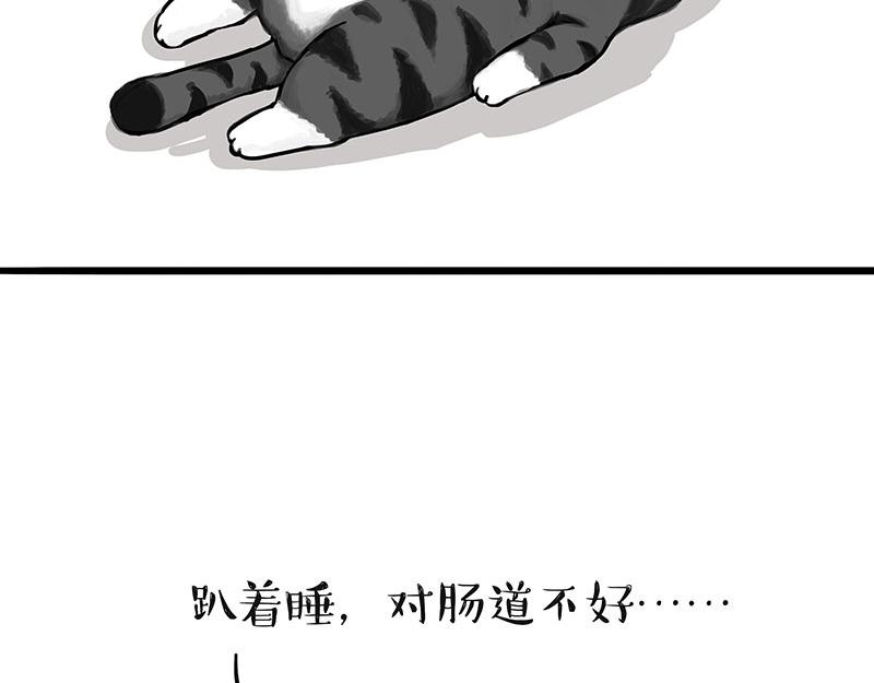 《吾皇巴扎黑》漫画最新章节第311话 抓不住！免费下拉式在线观看章节第【10】张图片