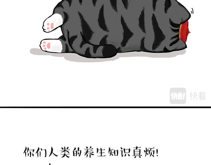 《吾皇巴扎黑》漫画最新章节第311话 抓不住！免费下拉式在线观看章节第【14】张图片