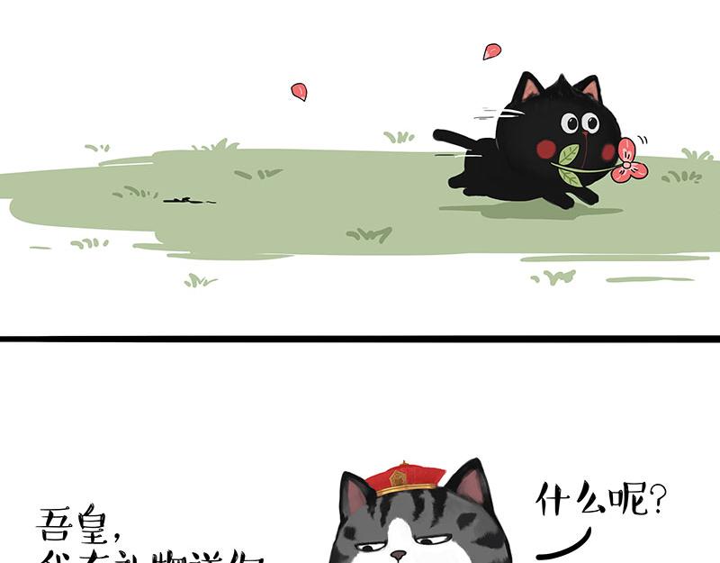 《吾皇巴扎黑》漫画最新章节第311话 抓不住！免费下拉式在线观看章节第【2】张图片