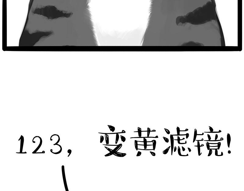 《吾皇巴扎黑》漫画最新章节第312话 来点年味免费下拉式在线观看章节第【31】张图片