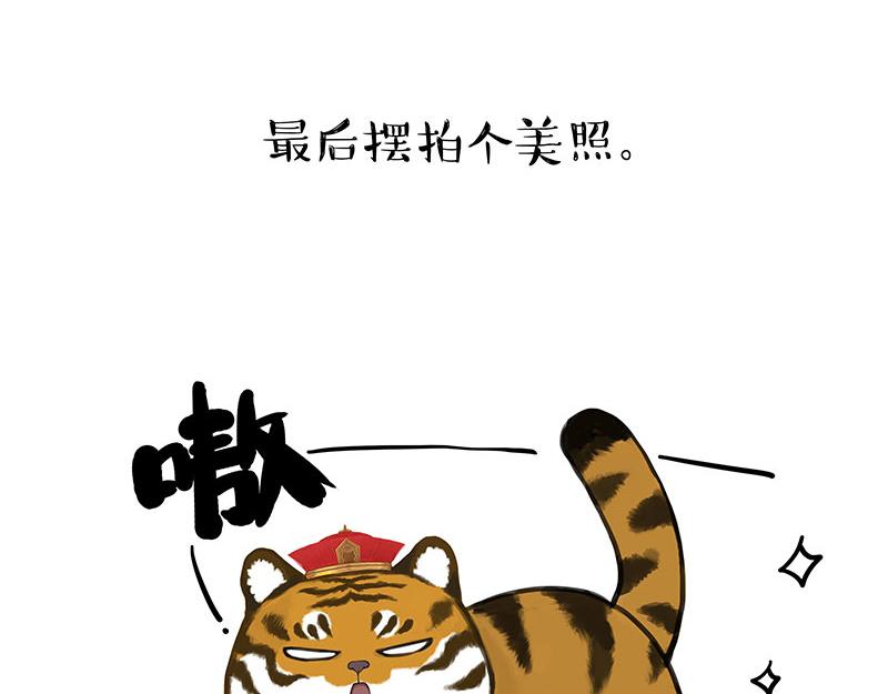 《吾皇巴扎黑》漫画最新章节第312话 来点年味免费下拉式在线观看章节第【46】张图片