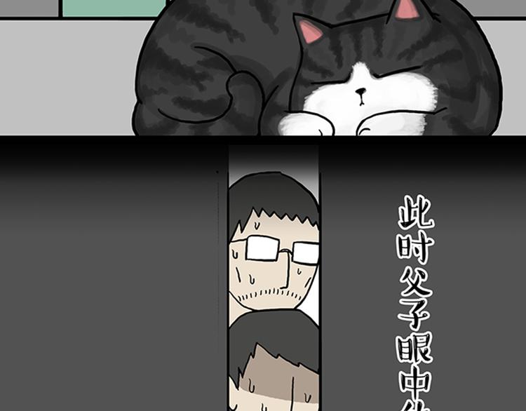 《吾皇巴扎黑》漫画最新章节第33话 洗猫的少年总是孤独的免费下拉式在线观看章节第【32】张图片