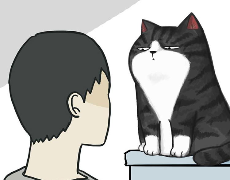 《吾皇巴扎黑》漫画最新章节第36话 猫奴为什么没有尊严免费下拉式在线观看章节第【16】张图片