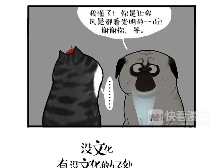 《吾皇巴扎黑》漫画最新章节第38话 猫星人的三宫六院免费下拉式在线观看章节第【20】张图片