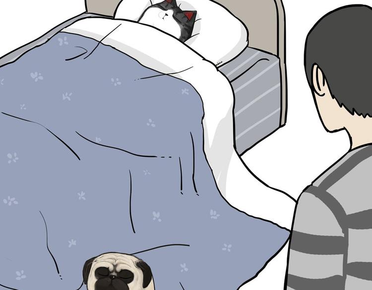《吾皇巴扎黑》漫画最新章节第44话 日常坑狗，却猫前屈膝免费下拉式在线观看章节第【18】张图片