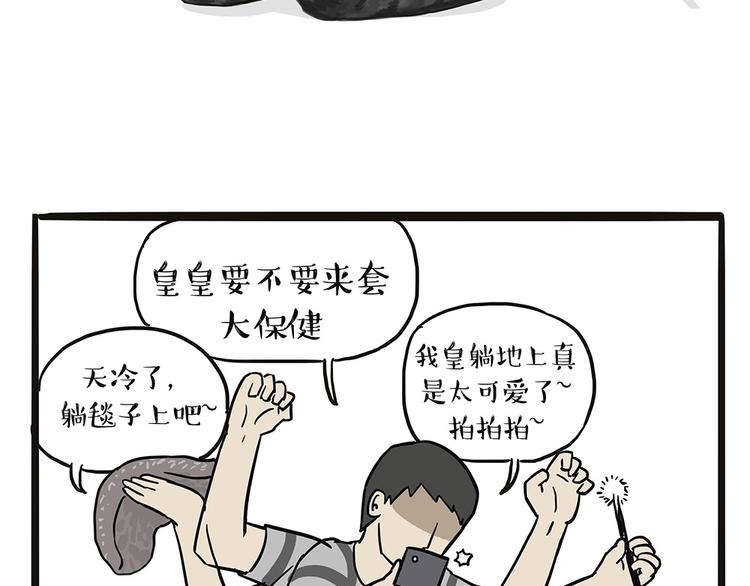 《吾皇巴扎黑》漫画最新章节第44话 日常坑狗，却猫前屈膝免费下拉式在线观看章节第【24】张图片