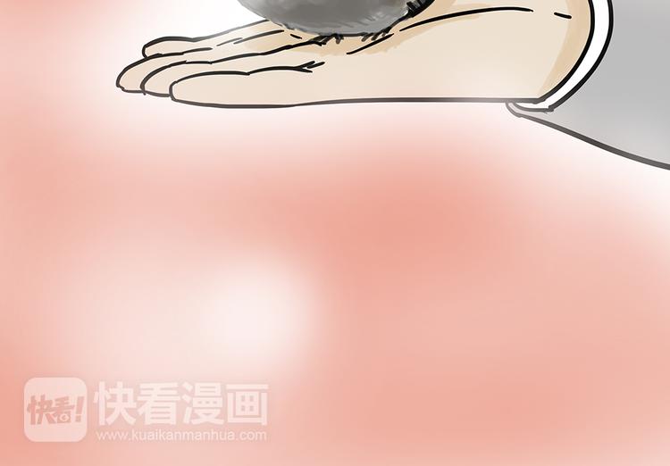 《吾皇巴扎黑》漫画最新章节第48话 感觉自己失宠了（下）免费下拉式在线观看章节第【25】张图片