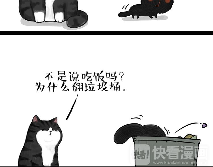 《吾皇巴扎黑》漫画最新章节第50话 你的身边有我在免费下拉式在线观看章节第【13】张图片