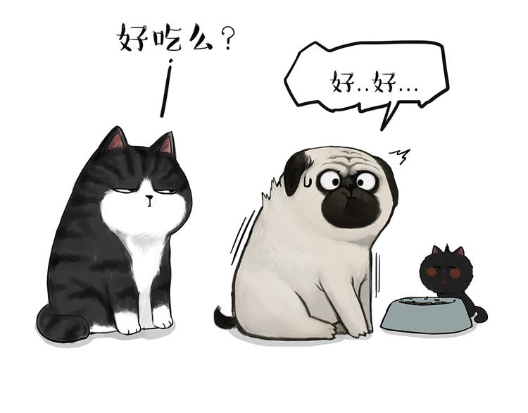 《吾皇巴扎黑》漫画最新章节第51话 猫和狗的待遇就是不同免费下拉式在线观看章节第【13】张图片