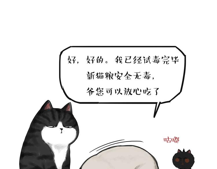 《吾皇巴扎黑》漫画最新章节第51话 猫和狗的待遇就是不同免费下拉式在线观看章节第【14】张图片