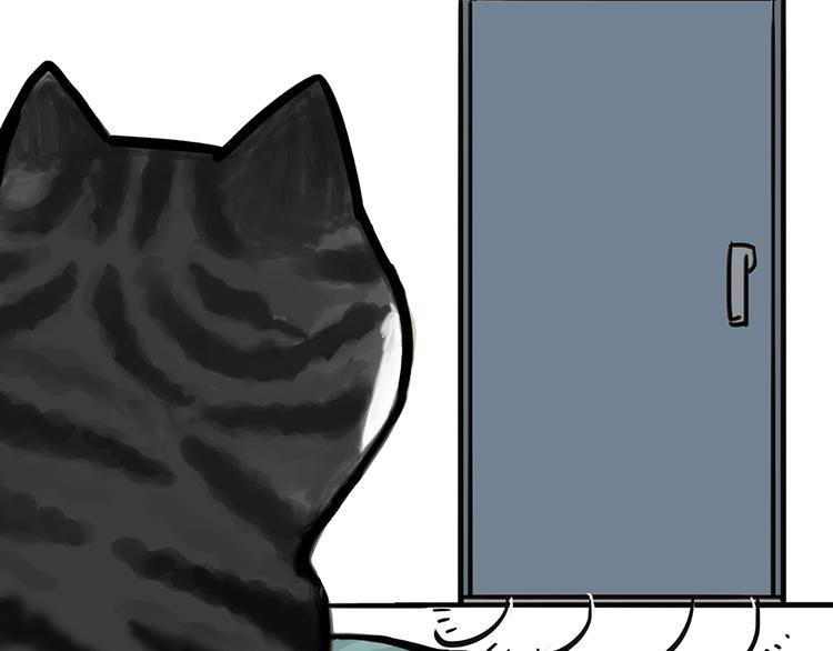 《吾皇巴扎黑》漫画最新章节第51话 猫和狗的待遇就是不同免费下拉式在线观看章节第【21】张图片
